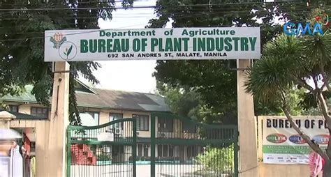 Bureau of PLant Industry.